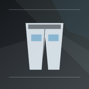 FlexRun 2-in-1 Shorts